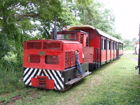 Coral Coast Scenic Railway Fiji